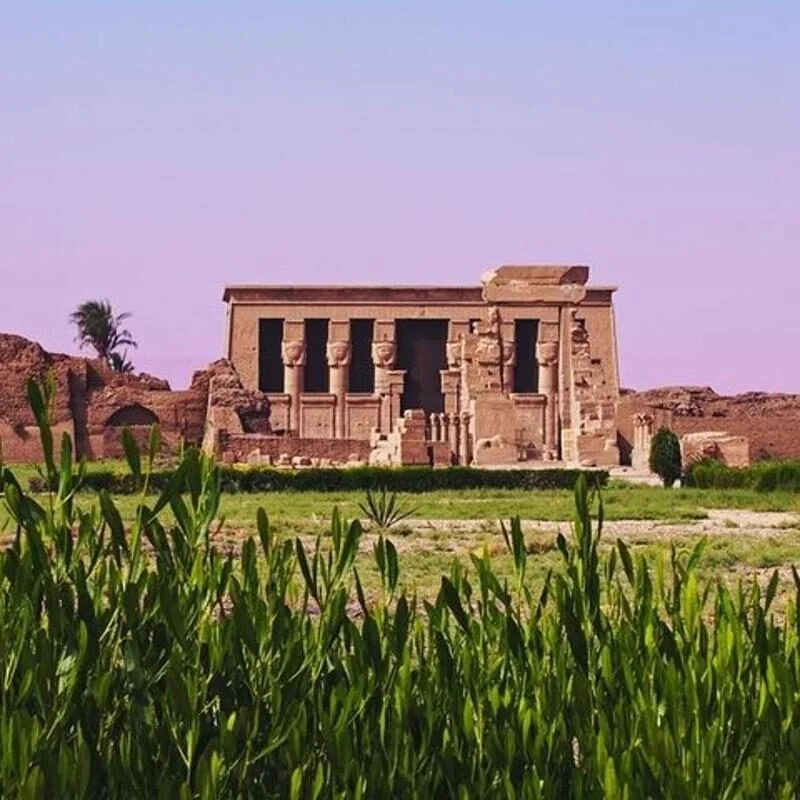 Dendera Temple rises behind a lush green field of crops with a palm tree at dusk.