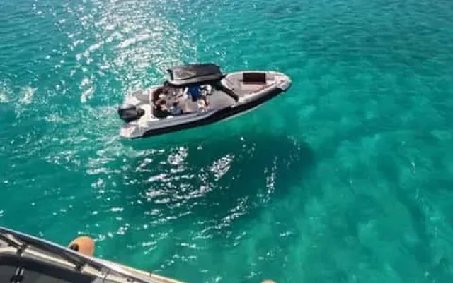 Dolphin House Speedboat Excursion