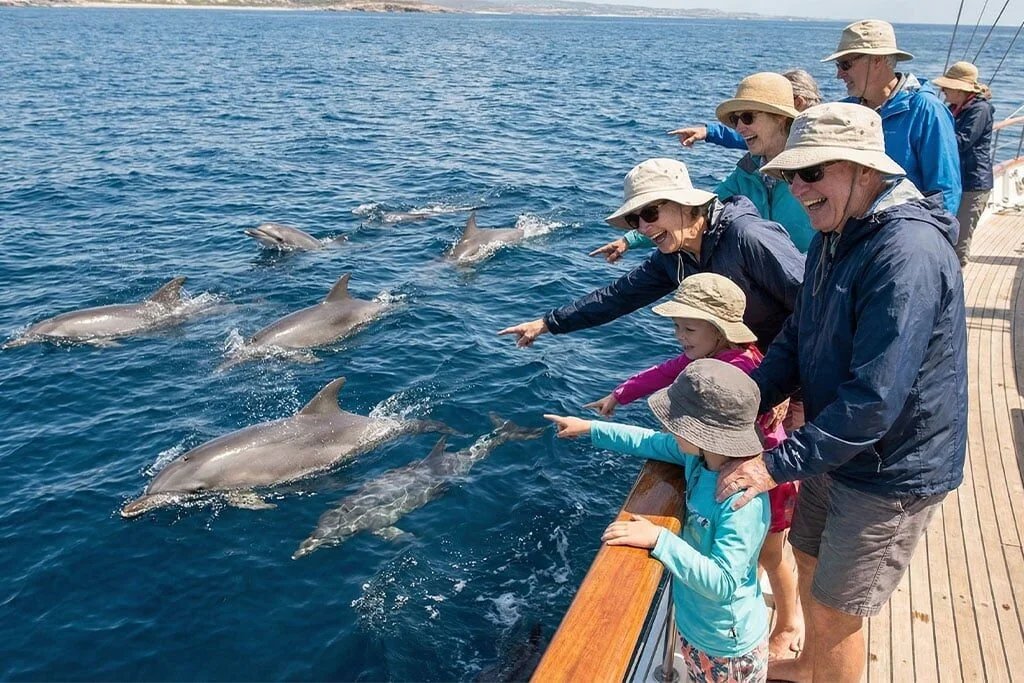 Dolphin House