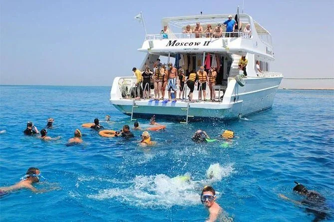 Schwimmen mit Delfinen