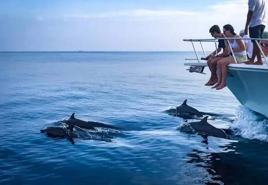 Gruppen-Yachtfahrt zum Dolphin House in Marsa Alam — view 2