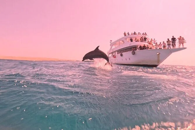 A dolphin leaping beside a large white excursion boat at sunset under a pink-tinted sky.