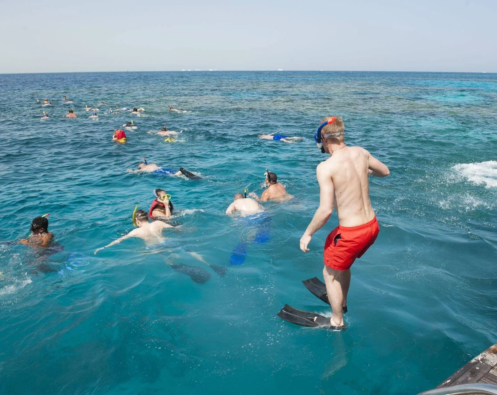 Schnorchelausflug zum Elphinstone-Riff in Marsa Alam — view 2
