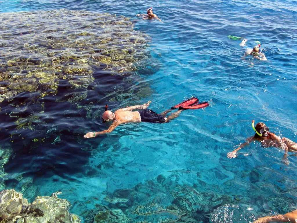 Schnorchelausflug zum Elphinstone-Riff in Marsa Alam — view 3