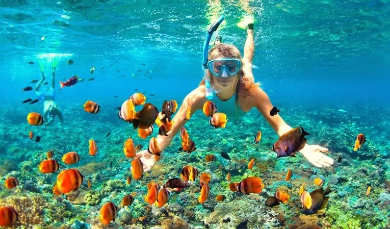 Schnorchelausflug zum Elphinstone-Riff in Marsa Alam — view 5