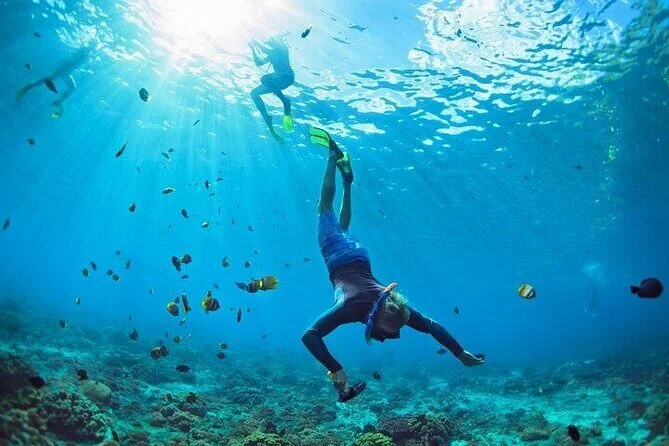 Snorkeler diving down through sunbeams over a coral reef with schooling fish around.
