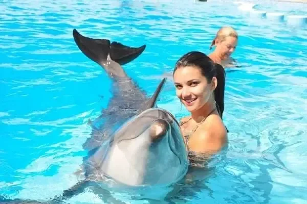Woman posing with a dolphin in a pool while another woman swims in the background.
