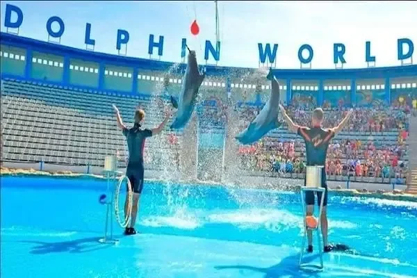 Two trainers on poolside platforms with dolphins leaping between them, 'Dolphin World' signage visible on the stadium seating.