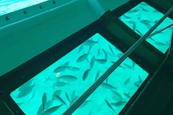 View through the boat's glass floor panels showing a school of fish swimming over a pale sandy seabed.