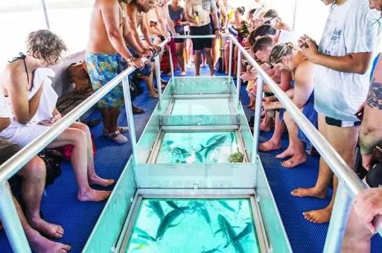 Passengers crowded around the boat's central glass viewing panels looking down at fish beneath their feet.