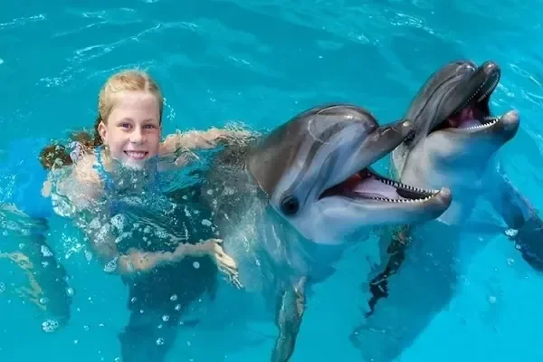 Girl swimming between two dolphins with open mouths in a turquoise pool.