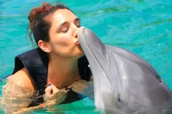 Woman with her eyes closed kissing a dolphin's snout in a pool.