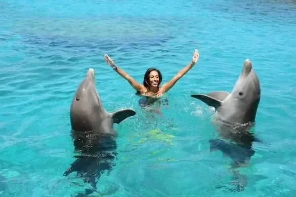 Woman with arms raised in celebration standing between two dolphins balanced upright in the water.