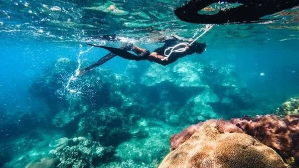 Free-diver holding a safety line and swimming down toward a coral reef, trailing bubbles.