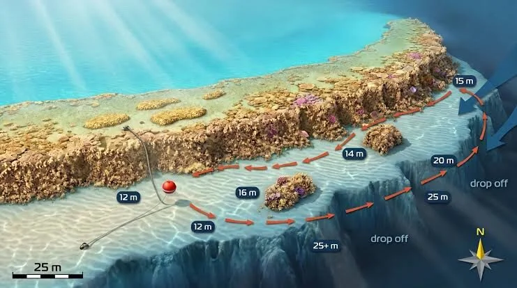 Illustrated map of the dive site showing coral reef contours and depth markers from 12 to over 25 meters.