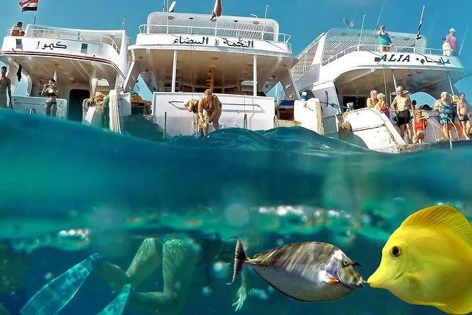 Split above-and-below water view showing tour boats moored above and a yellow fish swimming near a snorkeler below.