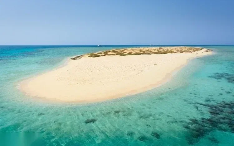 Schnorchel-Kreuzfahrt zu den Hamata-Inseln in Marsa Alam — view 5