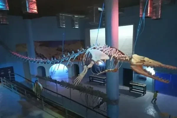 Hurghada Grand Aquarium Tour - Foto 4
