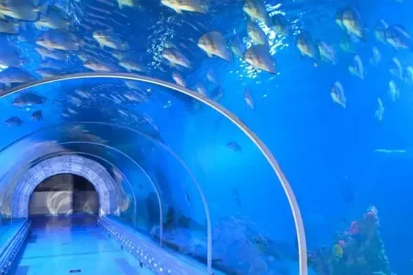 Hurghada Grand Aquarium Tour - Foto 5