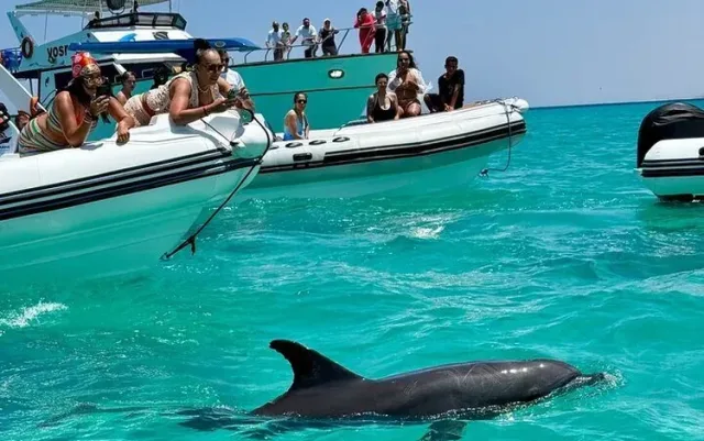 Deluxe Private Speedboat Charter