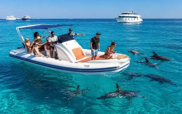 Orange Bay Private Speedboat Charter