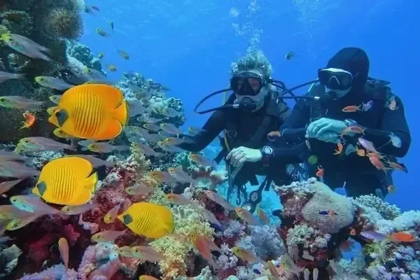 Schnorchel- und Tauchausflug zur Orange Bay in Hurghada — view 5