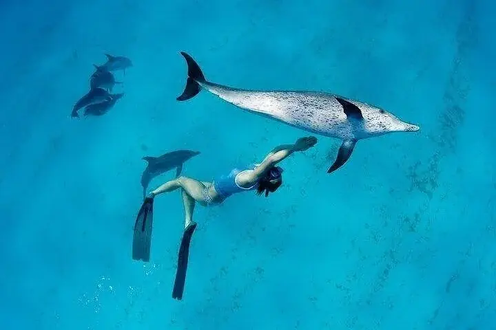 Schnorcheln bei der Ozirea Island
