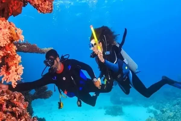 Дайвинг-экскурсия PADI - фото 5