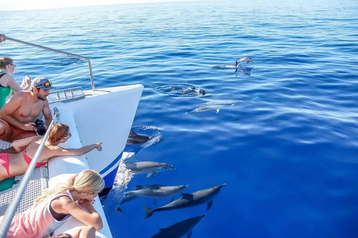 Private Yachtfahrt zum Dolphin House in Marsa Alam — view 5