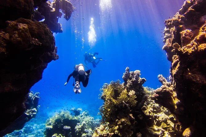 Private Delfintour - Foto 4