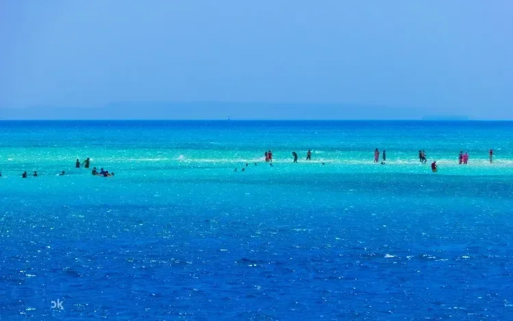 Sharm El Sheikh Diving Guide 2026: Top 10 Dive Sites, Ras Mohammed & Blue Hole (5-Star Reviews)