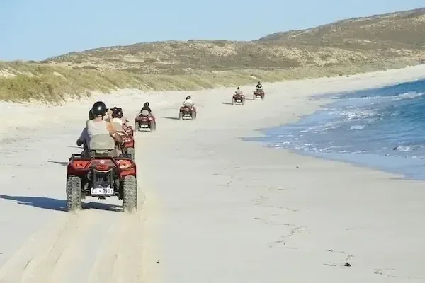 A line of quad bikes rides along a sandy beach beside the sea, with green-tinged dunes in the distance.