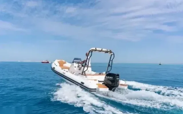 Private Speedboot-Ausflug auf See