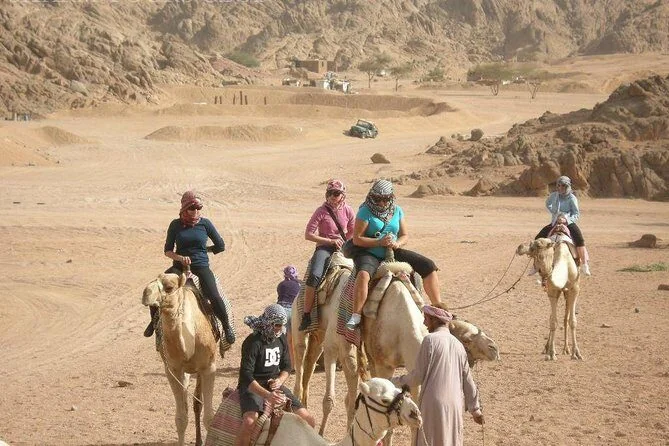Group riding camels led by a Bedouin guide across a sandy desert plain near a parked jeep.