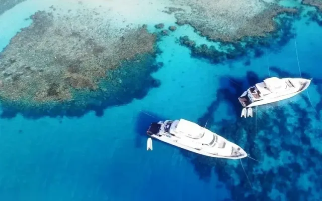Ras Mohammed Reef Snorkel Cruise