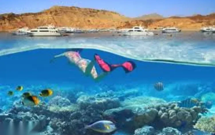 Круиз на снорклинг к рифу Рас-Мохаммед in Шарм-эль-Шейх — view 4