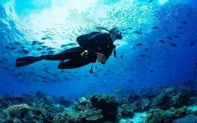 Red Sea Scuba Dive Adventure
