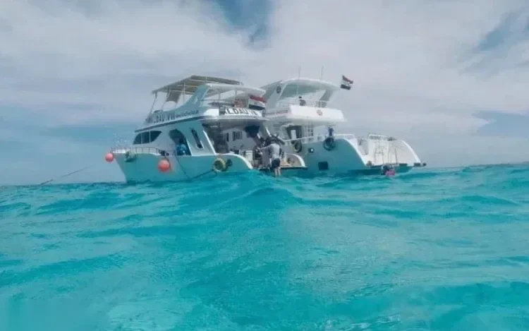 Schnorcheltour zu Delfinen am Samadai-Riff in Marsa Alam