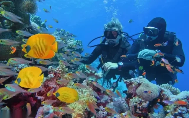 Excursion en bateau de plongée