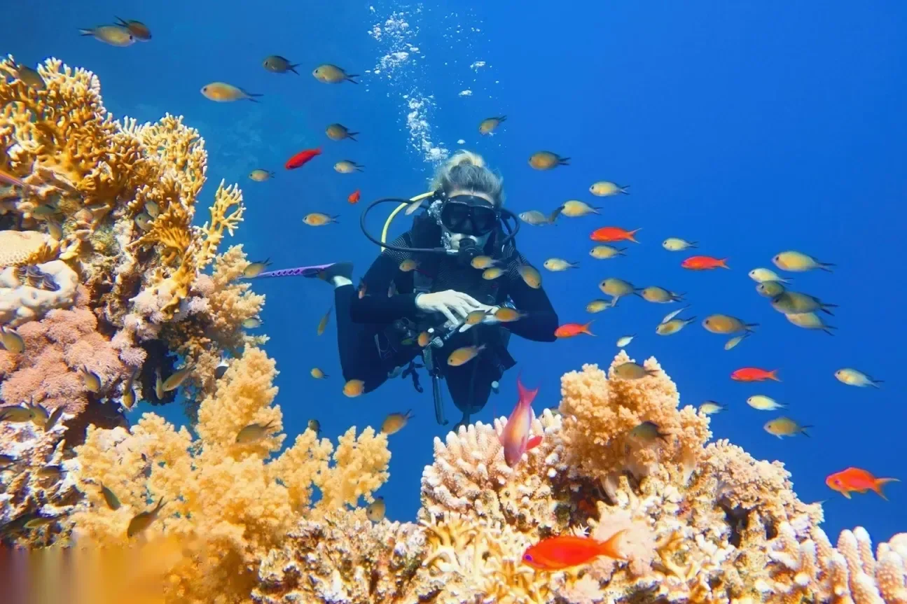 A diver framed by golden soft coral is surrounded by dozens of small orange and gold reef fish.
