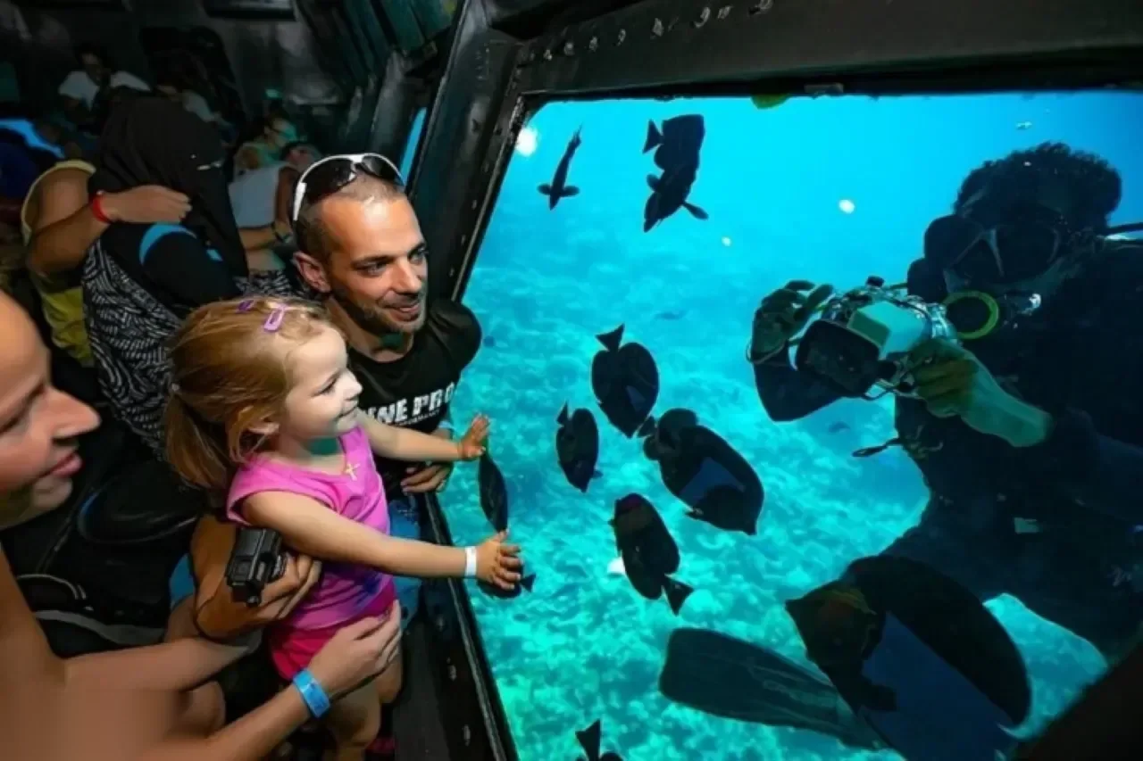Semi-Submarine Tour - Foto 5