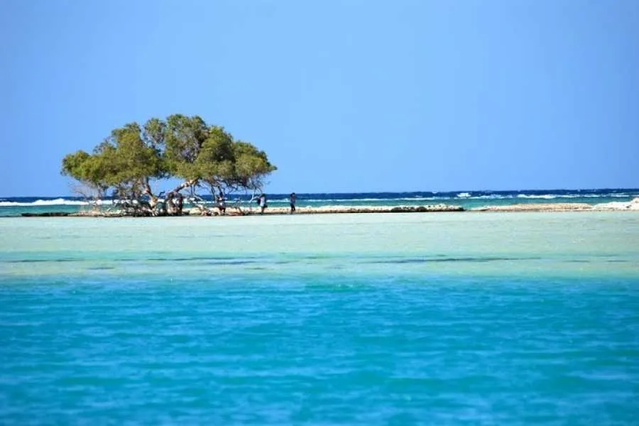 Поездка на снорклинг в Шарм-эль-Люли и Вади-эль-Кулаан in Марса-Алам — view 5