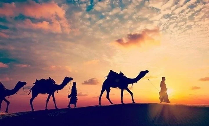 Silhouettes of a Bedouin guide leading camels along a dune ridge against a vivid sunset sky