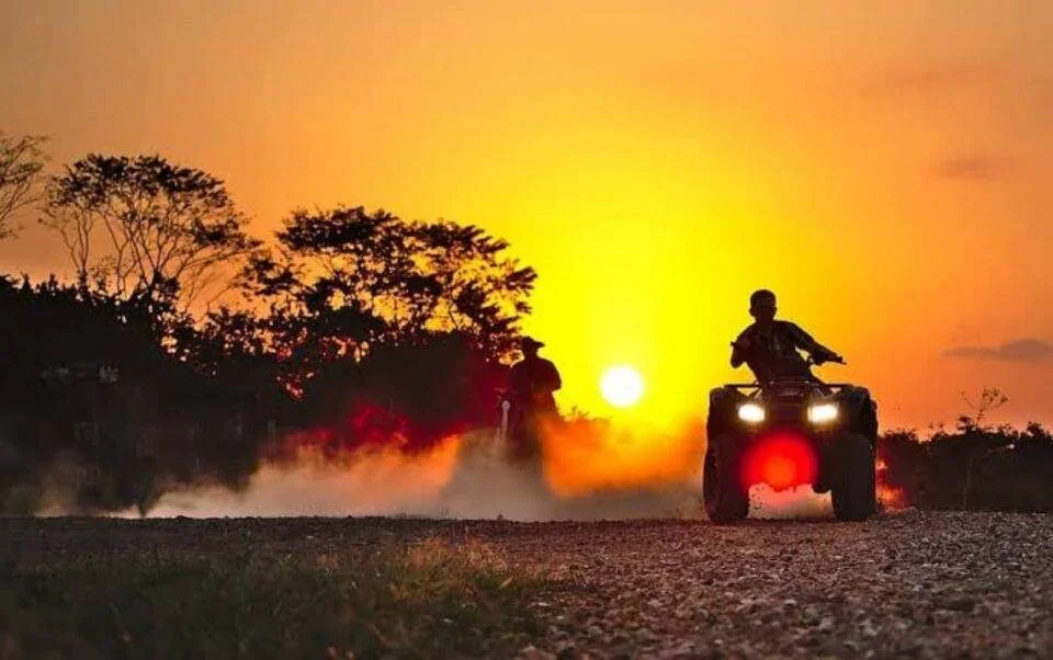 ATV rider kicking up red dust past silhouetted trees at sunset