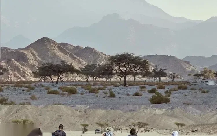 Safari im Naturpark Wadi El Gemal in Marsa Alam