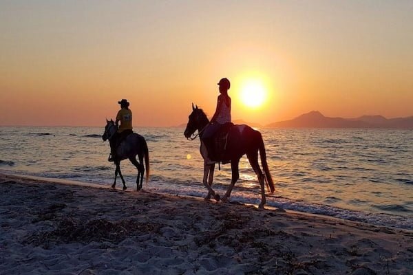 Hurghada Sunset Sea & Desert Horse Riding Tour